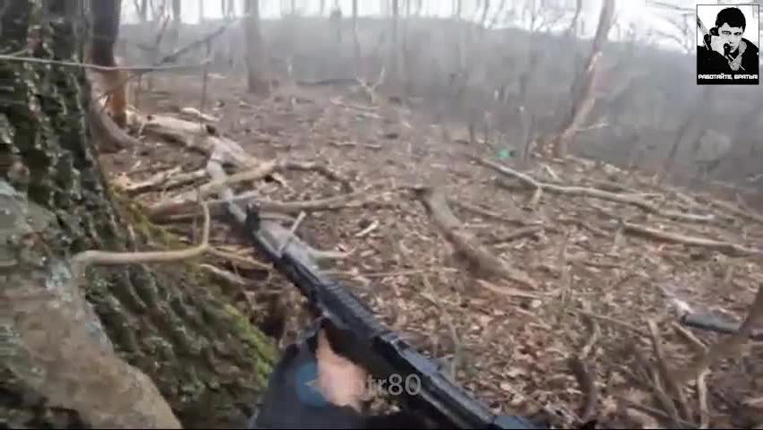 Видео реальных боев